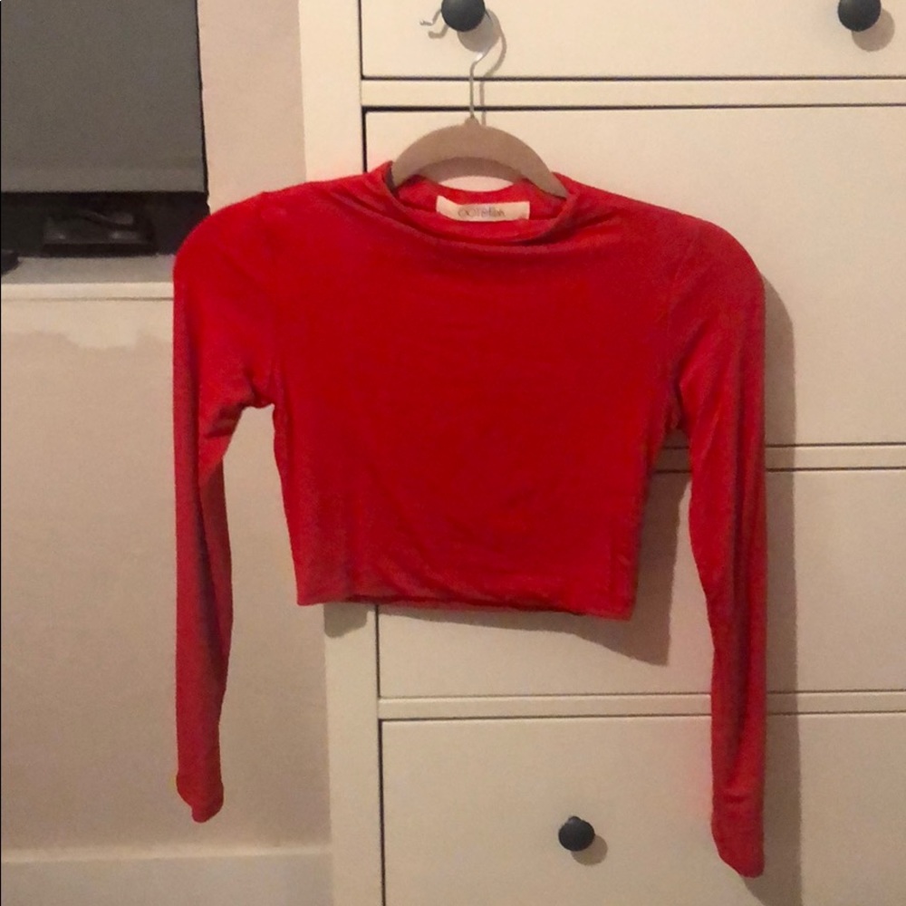Cropped fitted top